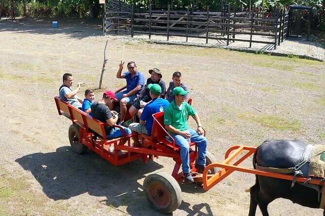 Eco Farm Tour & Water Buffalos - Who Should Book This Tour?