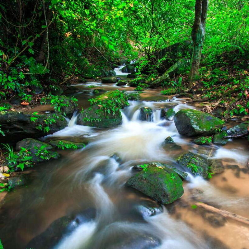 Eco-Friendly: Doi Inthanon & Pha Dok Siew Trekking Day Trip - Visiting Mae Klang Luang Village and Coffee Plantations