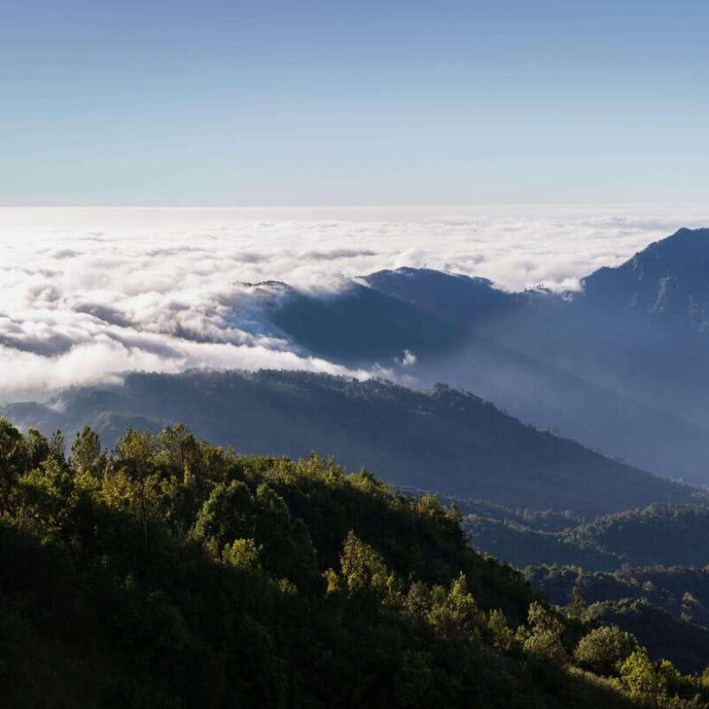 Eco-Friendly: Doi Inthanon & Pha Dok Siew Trekking Day Trip - Waterfalls and Relaxation