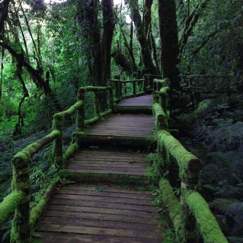 Eco-Friendly: Doi Inthanon & Pha Dok Siew Trekking Day Trip - Authenticity and Value