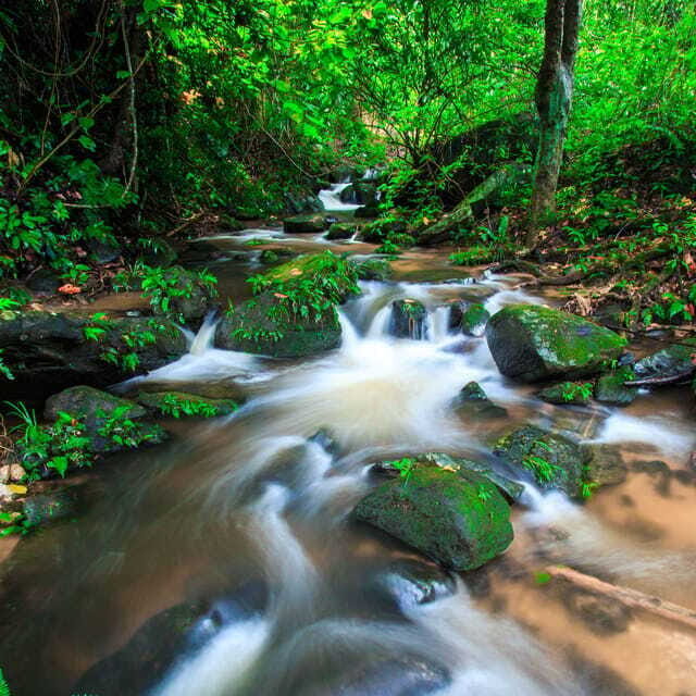 Eco-Friendly: Doi Inthanon & Pha Dok Siew Trekking Day Trip - Who Should Consider This Tour?