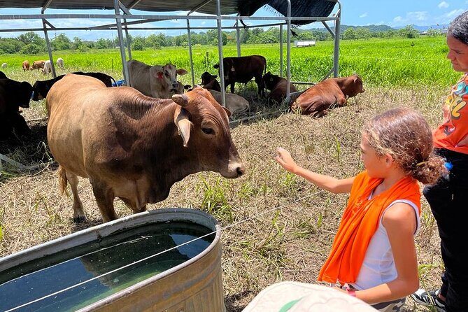 Eco Friendly Farming Tour to Explore Dorado's Most Beautiful Farm - Experience the Heart of Puerto Rico’s Sustainable Agriculture: Eco Friendly Farming Tour at Finca Pastoreo