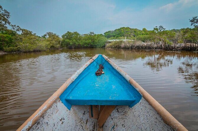 Eco-friendly Leverage Canoe Tour with Craft Fishing Show - Key Points