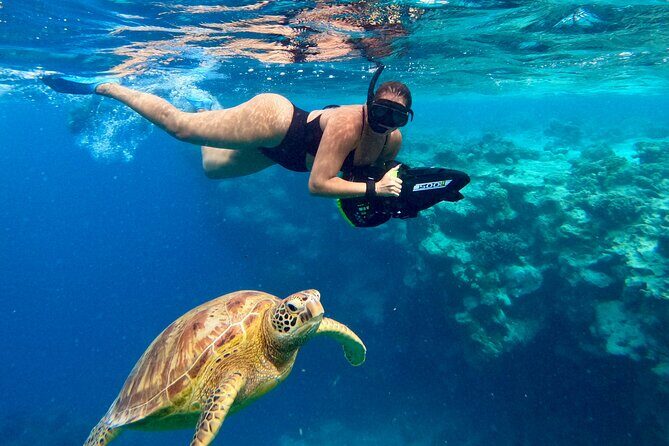 Eco Friendly Sea Scooter Turtle Tour in Rarotonga - A Deep Dive into the Rarotonga Sea Scooter Turtle Tour