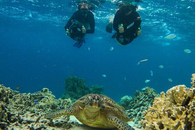 Eco Friendly Sea Scooter Turtle Tour in Rarotonga - FAQs