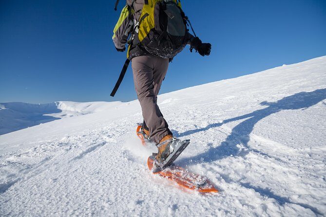 Eco friendly snowshoeing in Scenic Landscape - Who Should Consider This Tour?