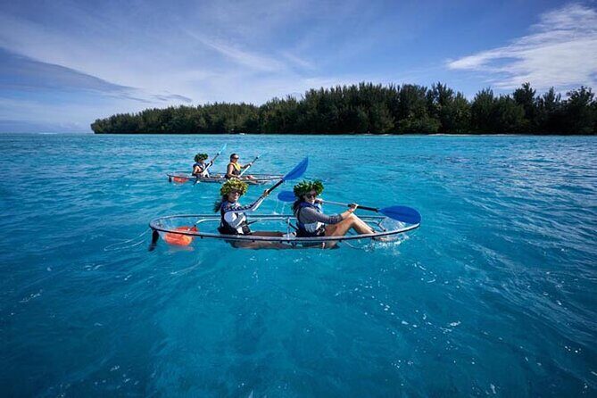 Eco guided excursion to the lagoon of Moorea in transparent kayak 1/2 day morning - Authentic Marine Encounters and Guide Expertise