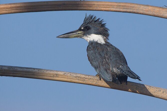 Eco Jungle - 2 Days / 1 Night - FAQs