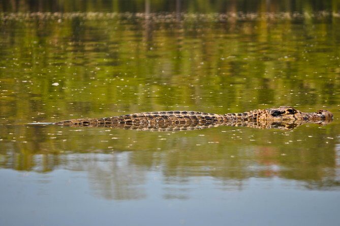 Eco Jungle - 3 Days / 2 Nights - Who Will Love This Tour?