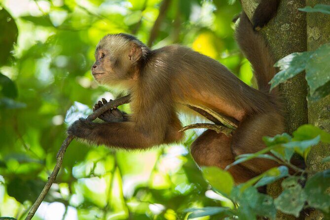 Eco Jungle Fishing & Adventure - 5 Days / 4 Nights - Practical FAQ