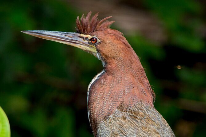 Eco Jungle Fishing & Adventure - 5 Days / 4 Nights - Additional Questions