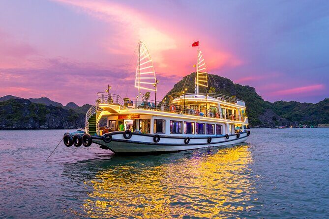 Eco Night Kayak Cruise: Bioluminescent Plankton in Lan Ha Bay - Discovering the Bioluminescent Wonder of Lan Ha Bay