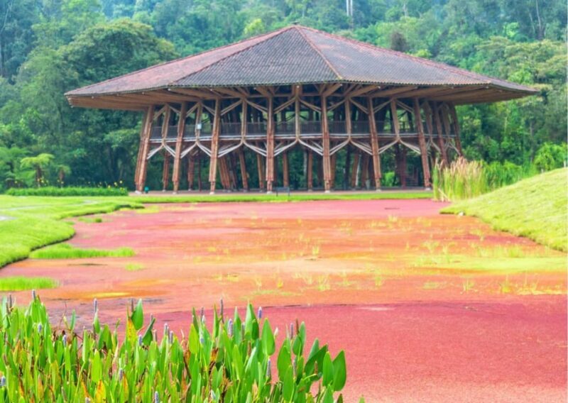 Eco-Park Recinto del Pensamiento Tour - Additional Activities and Facilities