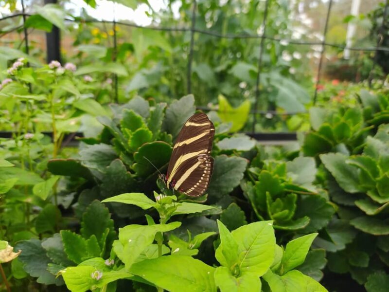 Eco-Park Recinto del Pensamiento Tour - Value and Pricing Analysis