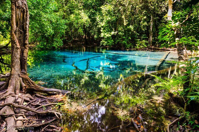 ECO Premium Jungle Hot Springs and Temple Tour - The Hot Springs: A Tranquil Finale