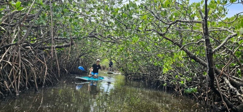 Eco River Adventure - Frequently Asked Questions