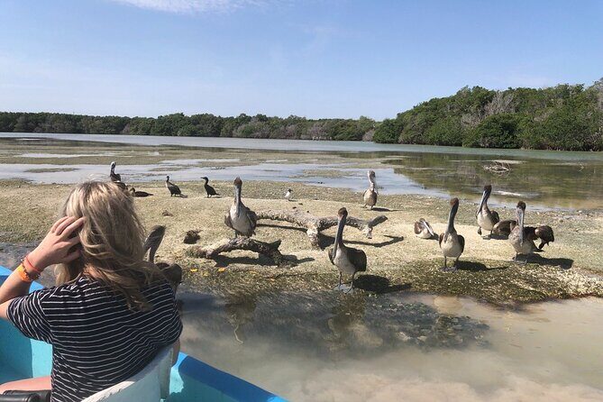 Eco Safari through the Ria Lagartos Natural Park - Observation Platform and Seasonally Unique Views