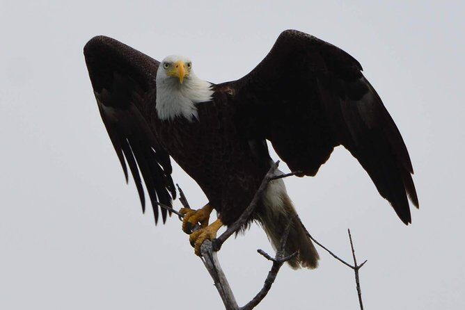 Eco Shelling Cruise to Keewaydin Island - Who Will Love This Tour?