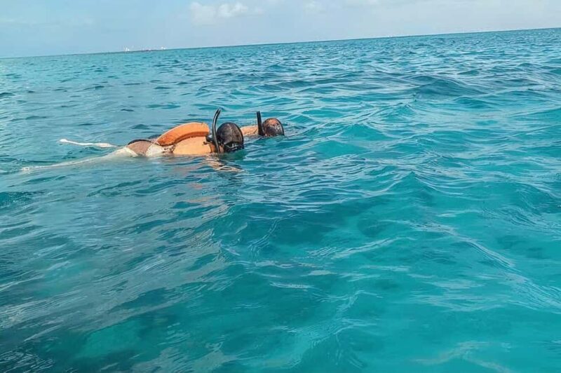 Eco Speedboat Snorkeling Experience from Punta Cana - Key Points