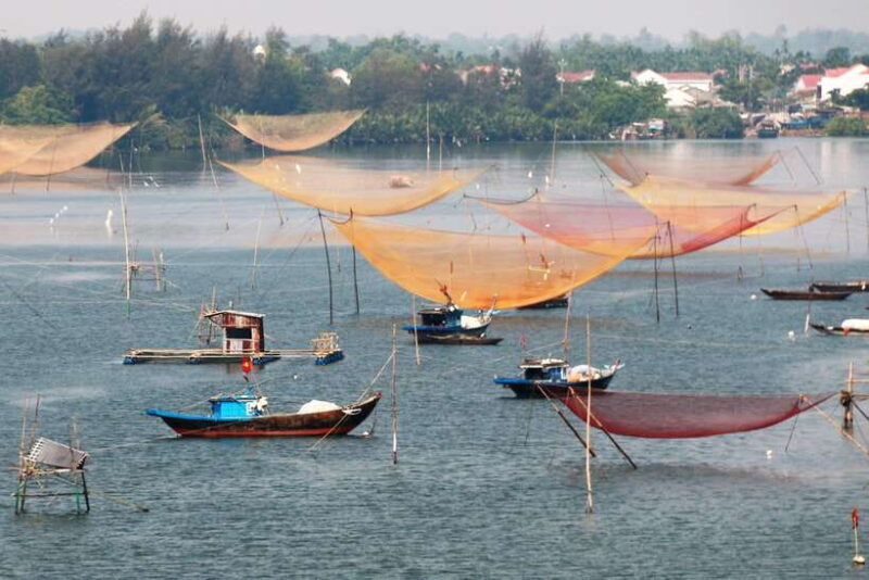 Eco tour and cooking class in Cam Thanh village - The Overall Value and Who Should Consider This Tour