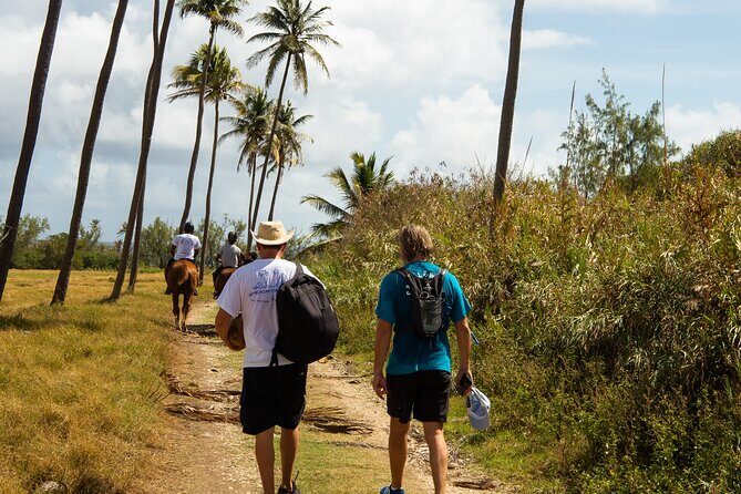 ECO Tour East Coast Barbados - Exploring Barbados’ East Coast in a Whole New Way