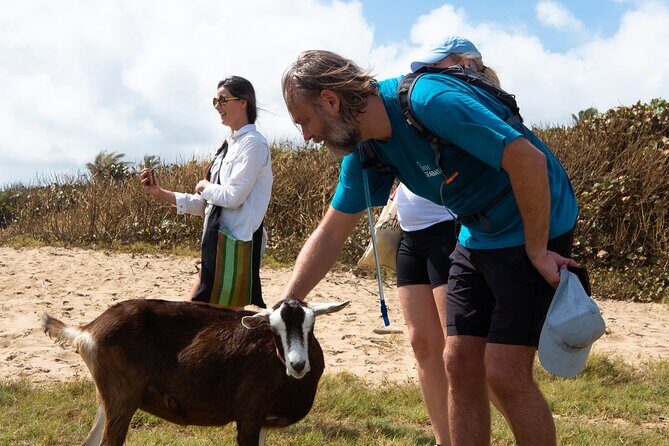 ECO Tour East Coast Barbados - Who Should Consider This Tour?