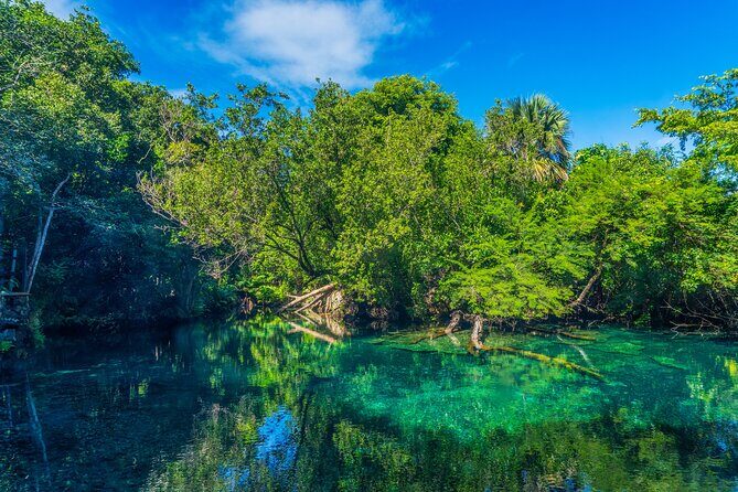 Eco Tour in the Cenotes Indigenous Eyes in Punta Cana - Key Points