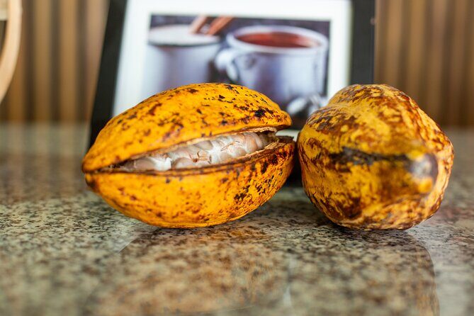 Eco Tour in the Cenotes Indigenous Eyes in Punta Cana - FAQ