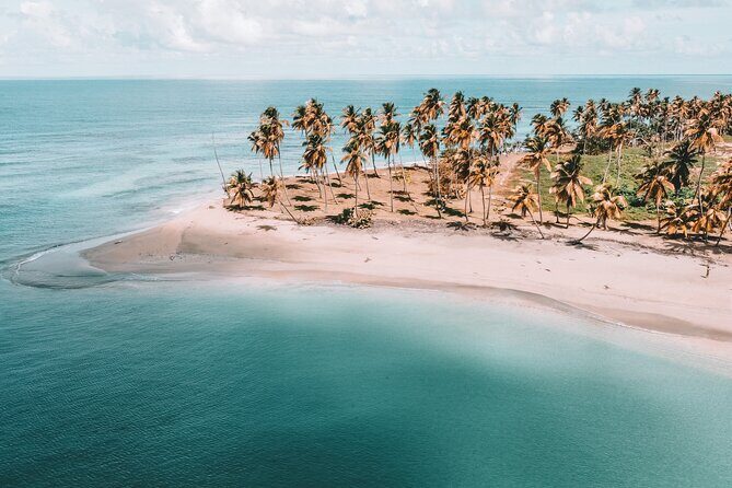 ECO TOUR Playa El Limon (Excursion Multi-activites) - A Deep Dive Into the Eco Tour Experience