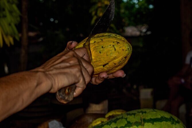 ECO TOUR Playa El Limon (Excursion Multi-activites) - FAQ