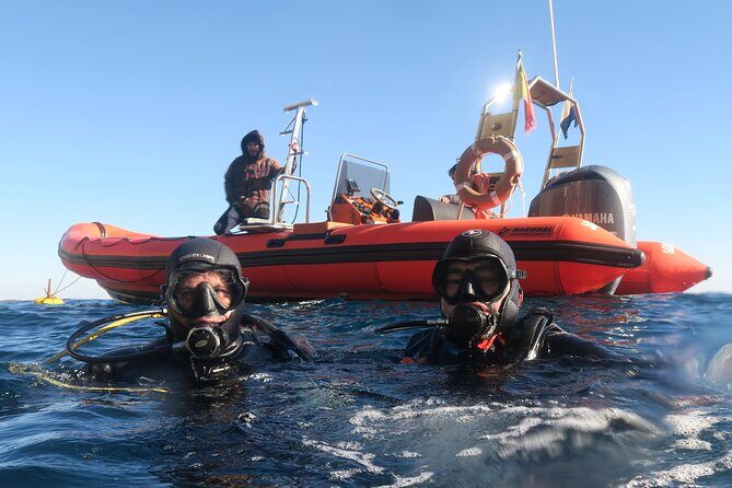 Eco - Try Dive - Summary: Who Will Love This Experience?