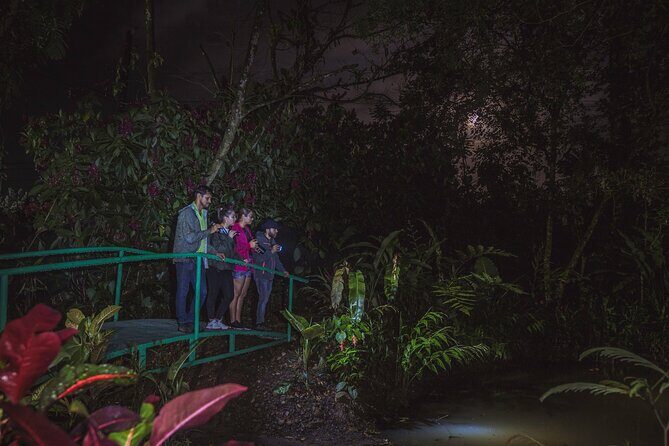 Ecogarden Arenal Night Walk - An In-Depth Look at the Ecogarden Arenal Night Walk