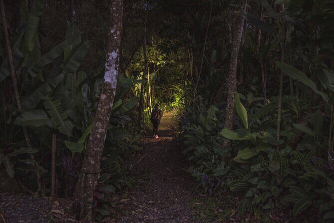 Ecogarden Arenal Night Walk - Who Should Consider This Tour?