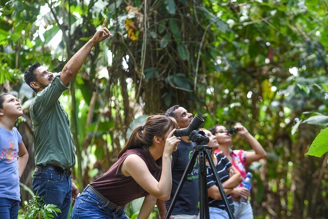 Ecogarden Arenal Sloth Tour - A Deep Dive into the Ecogarden Arenal Sloth Tour