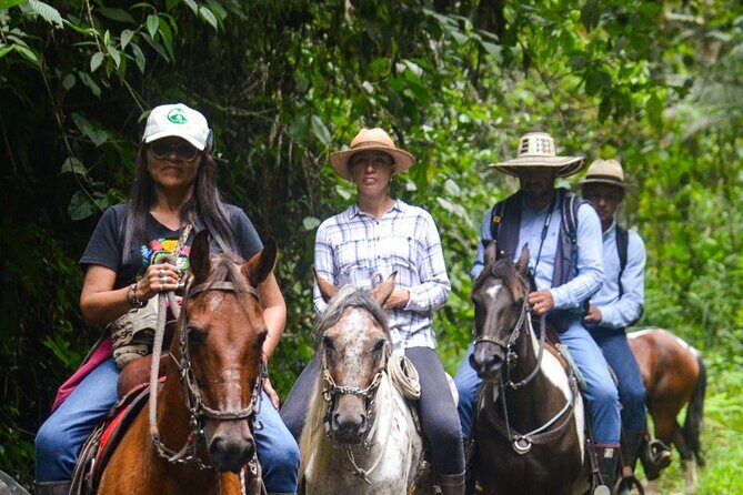 Ecological Horseback Riding in Murillo Tolima. - Detailed Review: Why This Horseback Riding Tour Stands Out