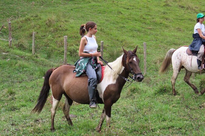 Ecological Horseback Riding in Murillo Tolima. - Why We Think This Tour Is a Great Choice