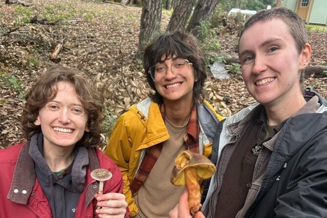 Ecological Mushroom Foraging Workshop - Who Should Consider This Tour?