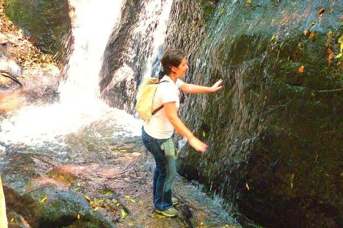 Ecological walk in sao paulo - Key Points