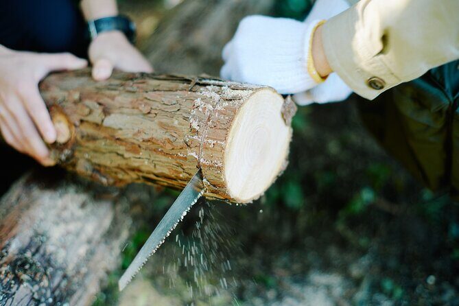 Ecotourism and Woodcraft with a Mountain Artist Near Tokyo - Authenticity and Visitor Feedback