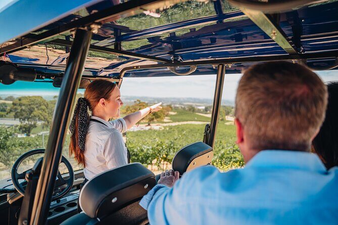EcoVine Explorer Vineyard E-Cart Tours - In-depth review: Value, experience, and insights