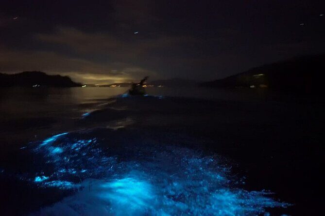 Eddy's Bioluminescence Reserve in Punta Cuchillos - Taking in Costa Rica’s Nighttime Wonder at Eddy’s Bioluminescence Reserve