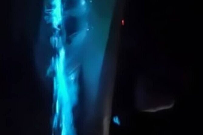 Eddy's Bioluminescence Reserve in Punta Cuchillos - Key Points