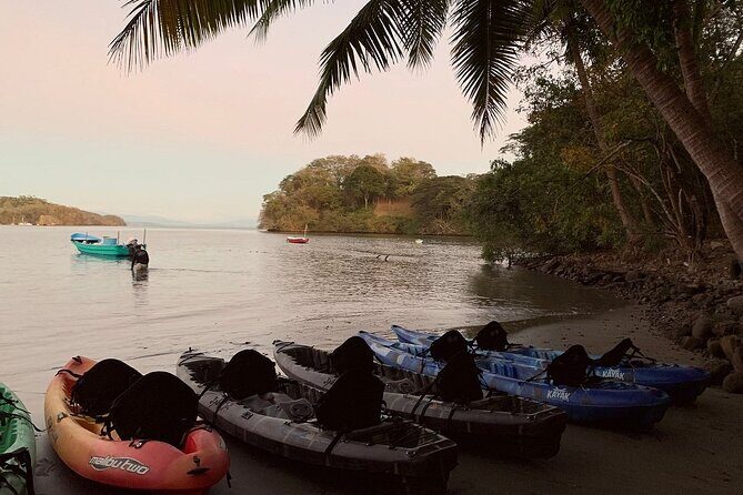 Eddy's Bioluminescence Reserve in Punta Cuchillos - The Real Value of Eddy’s Bioluminescence Tour
