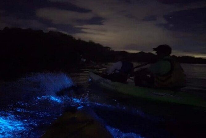 Eddy's Bioluminescence Reserve in Punta Cuchillos - Final Thoughts