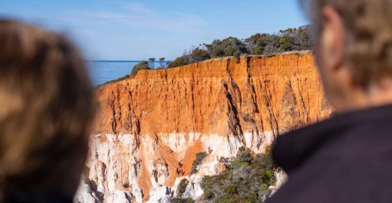 Eden: 2-Hour Highlights Tour, Nature, Beaches and Lookouts - Key Points