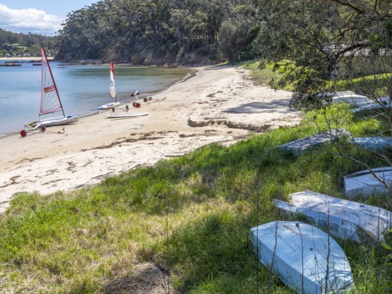 Eden: 2-Hour Highlights Tour, Nature, Beaches and Lookouts - Exploring Eden: A Natural Gem on Australia’s Sapphire Coast