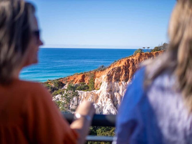 Eden: 2-Hour Highlights Tour, Nature, Beaches and Lookouts - Final Thoughts