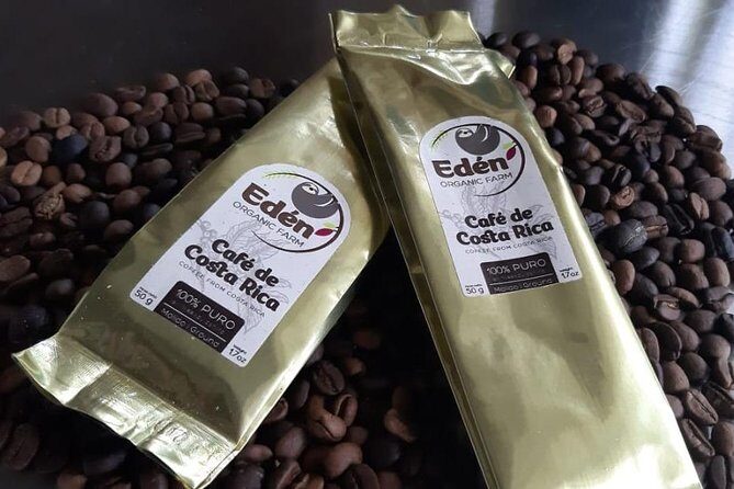 Eden Mocca Tour - Key Points