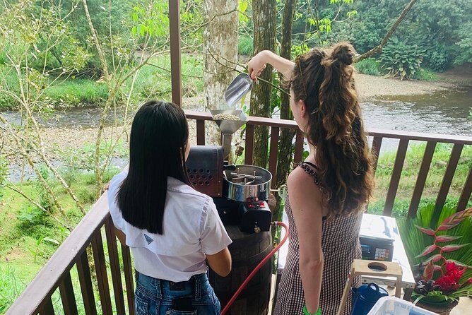 Eden Mocca Tour - FAQ