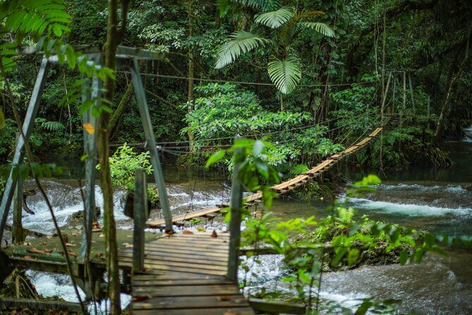 Eden on the River, Snorkeling and Blue Lagoon Adventure - Who Would Enjoy This Tour?